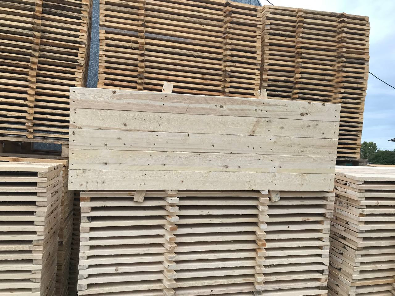 Настил деревянный сплошной для строительных лесов, 1,2*0,5м